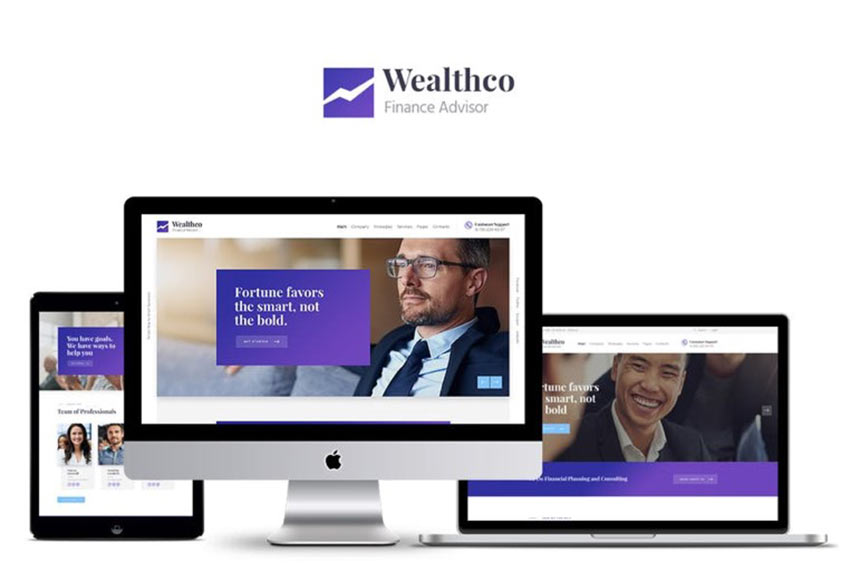 Example of WealthCo 
