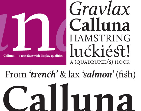 calluna-free-high-quality-font-web-design