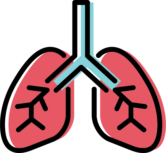 Free icon set - Lungs