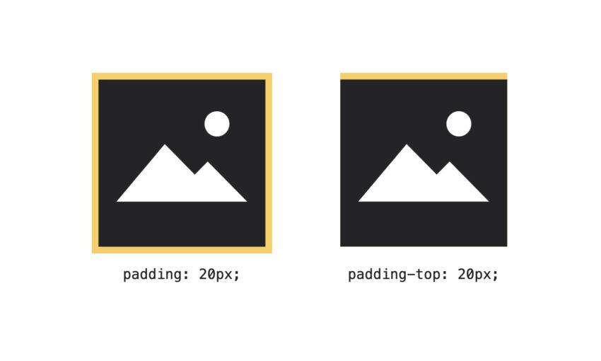 CSS basics padding