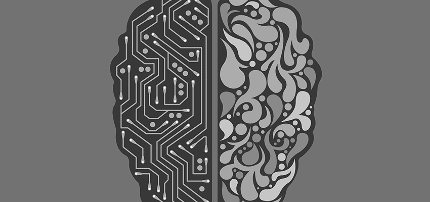 Brain Diagram