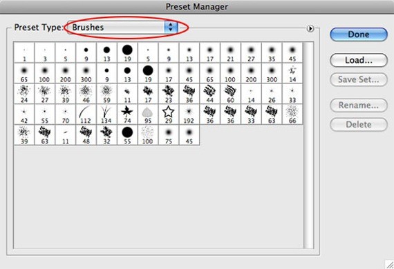 Installing And Managing Brushes And Other Presets