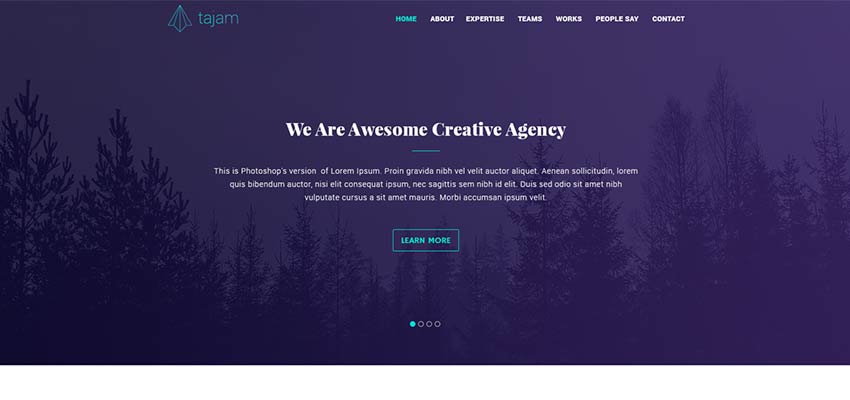 Agency Website PSD