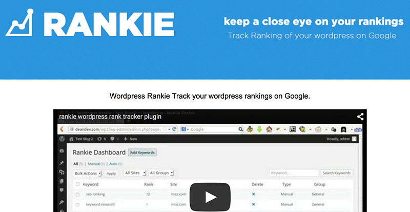 Keep track of your keyword rankings on Google straight from your dashboard.