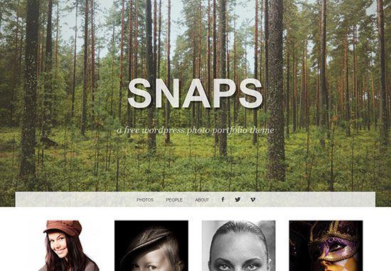 snaps-best-free-wordpress-themes